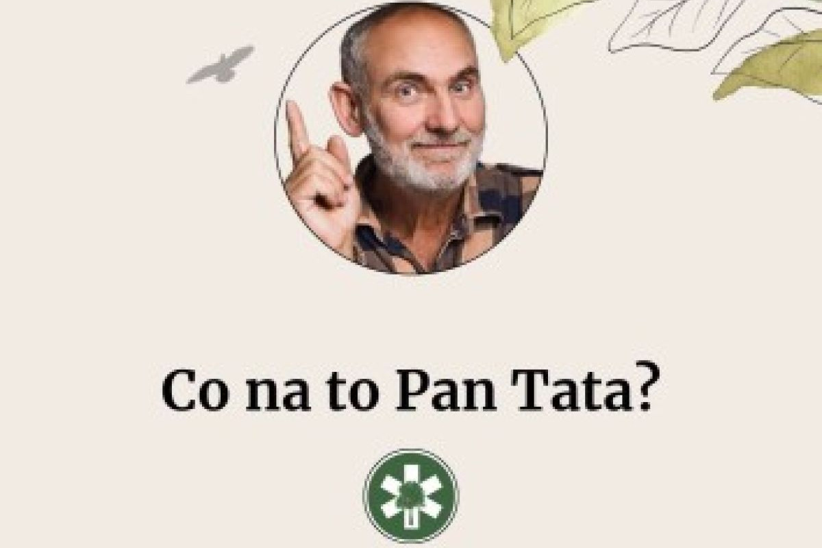 Co na to Pan Tata? Poradnik ogrodniczy na cały rok