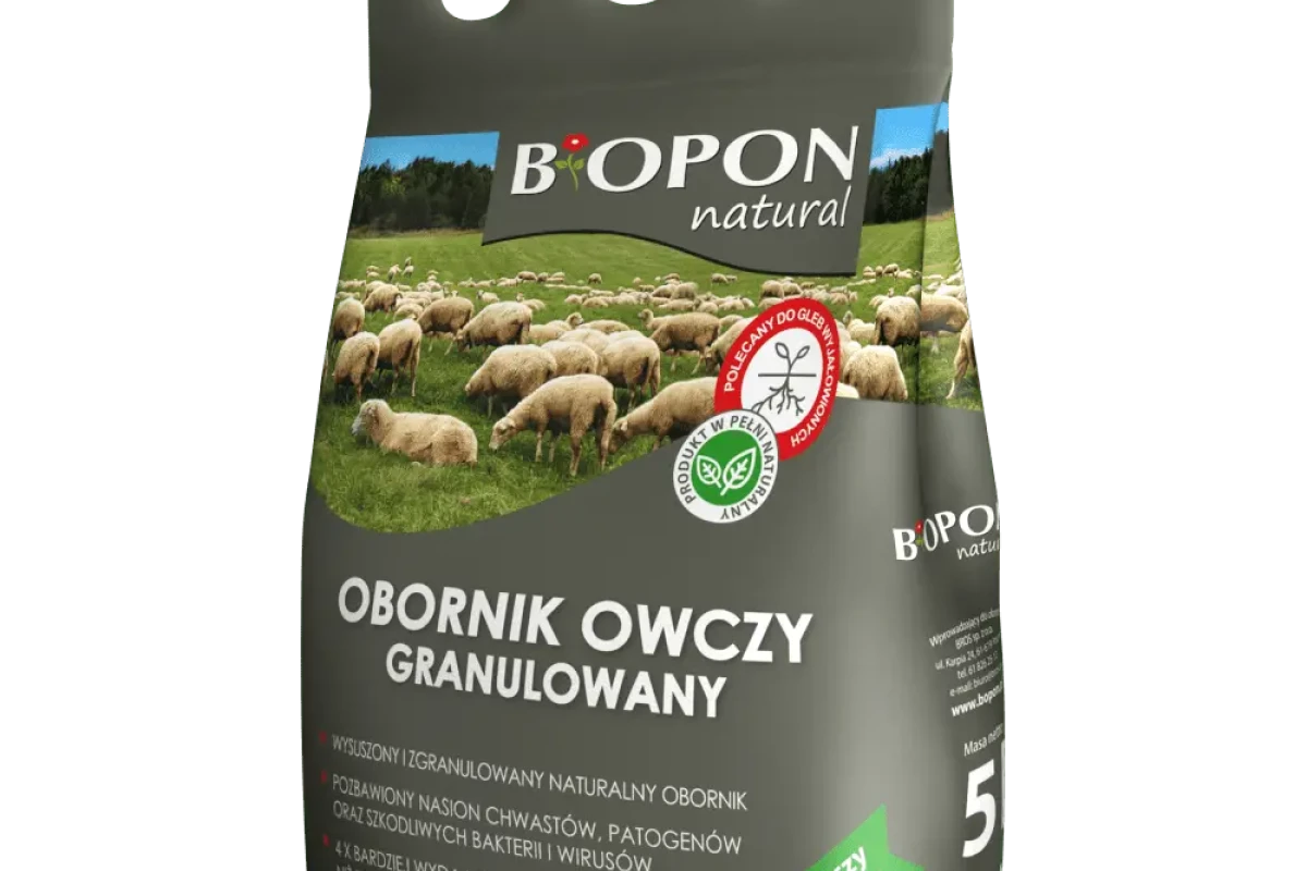 Obornik owczy